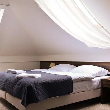 Hotel Olsza 3*