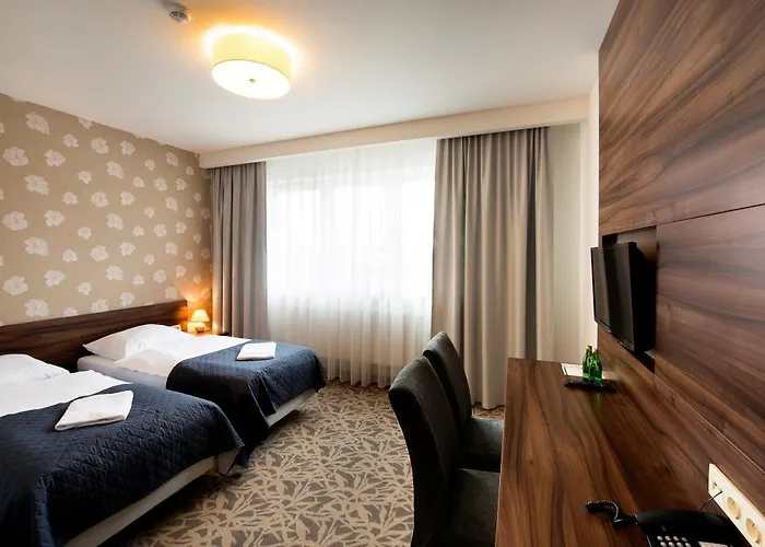 Olsza Olszowka (Turek)